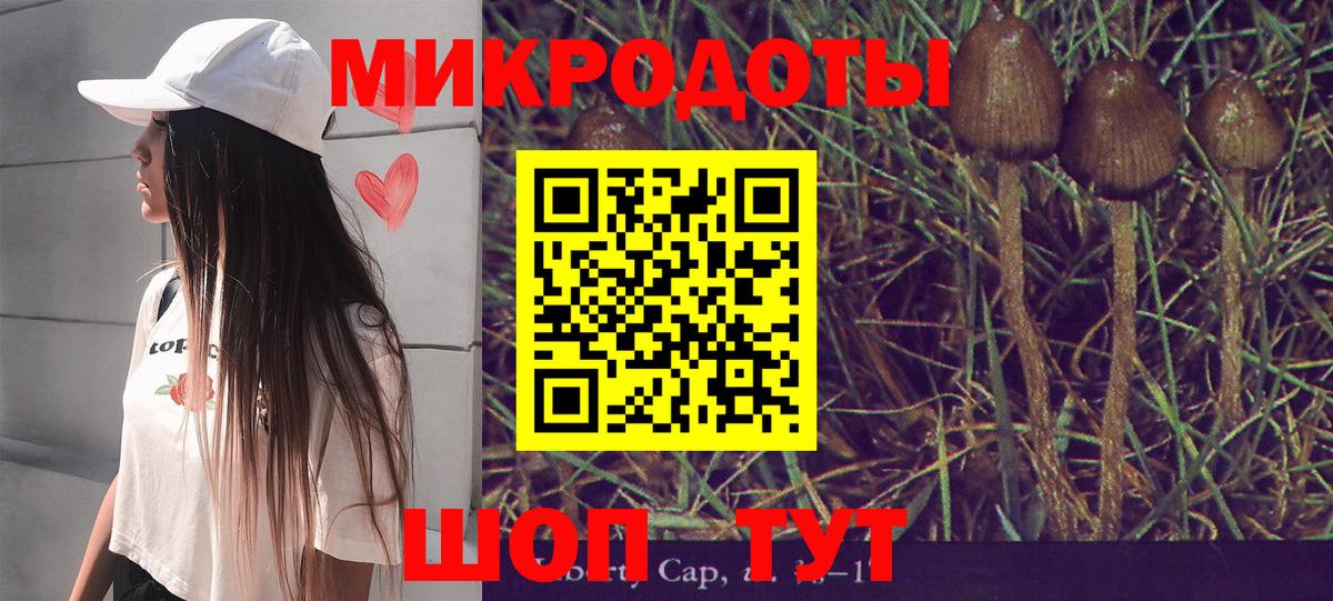 Воркута  Псилоцибиновые грибы Magic Shrooms  Вход с VPN  Галлюциногенные грибы Cubensis 