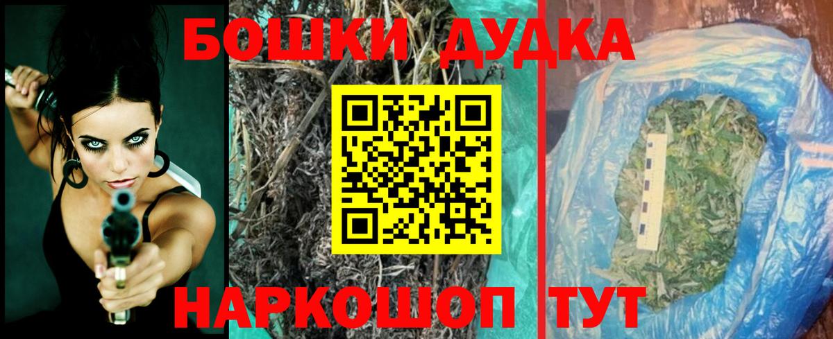 Бошки Шишки планчик Воркута